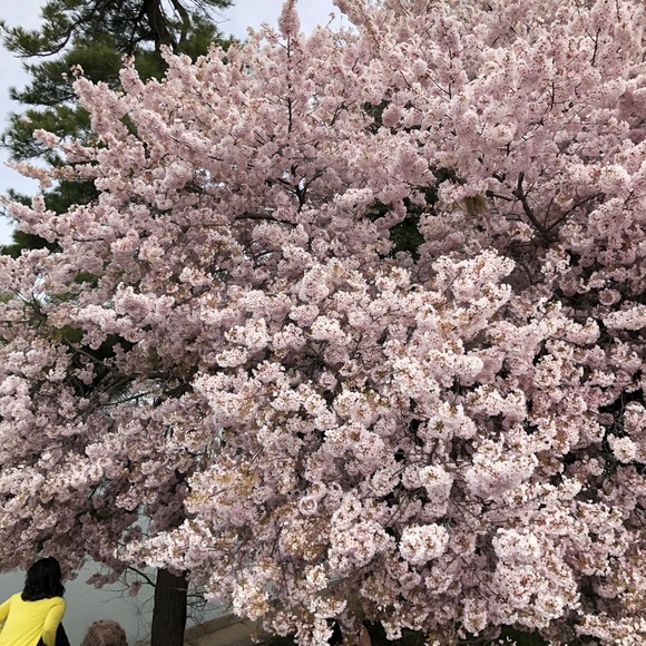 Meet your Posher, Deejay - Picture 1 of 1